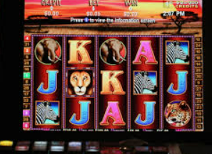 壹号娱乐正式版